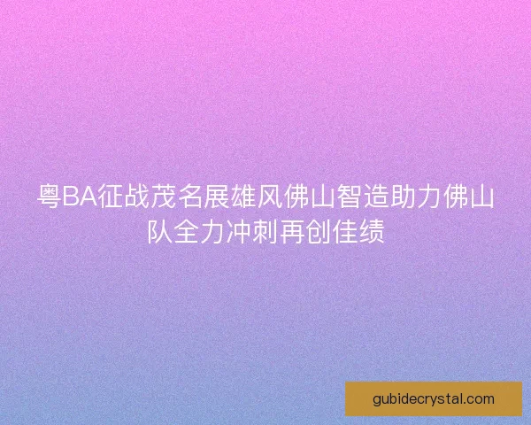 粤BA征战茂名展雄风佛山智造助力佛山队全力冲刺再创佳绩