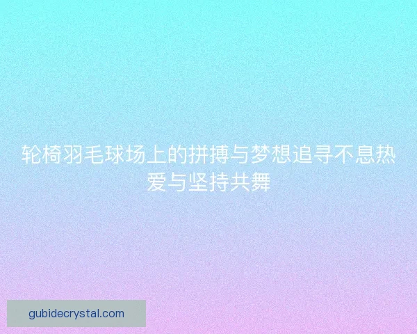 轮椅羽毛球场上的拼搏与梦想追寻不息热爱与坚持共舞
