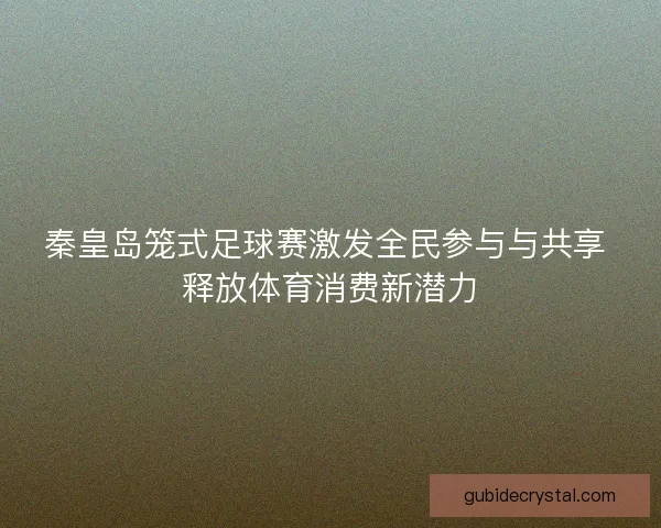 秦皇岛笼式足球赛激发全民参与与共享 释放体育消费新潜力 秦皇岛笼式足球赛激发全民参与与共享 释放体育消费新潜力