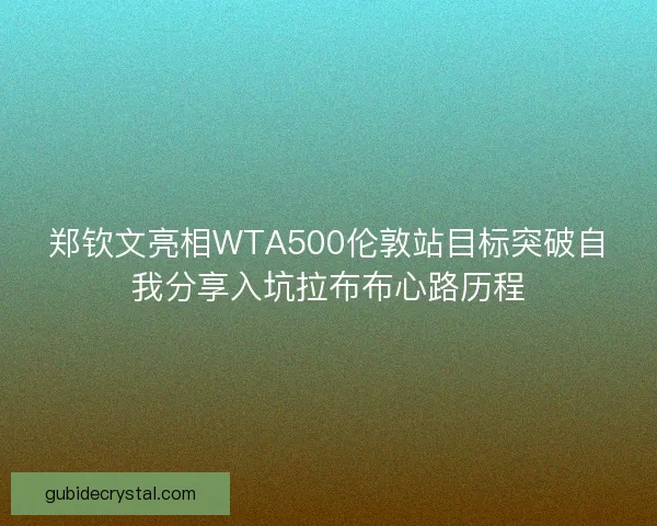 郑钦文亮相WTA500伦敦站目标突破自我分享入坑拉布布心路历程